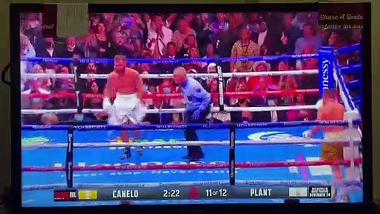 Canelo Alvarez Knockouts Caleb Plant at round 11. Undisputed king Canelo