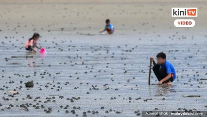 Economist: Why invest in aerospace when children are suffering from stunted growth?