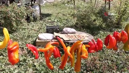 Hakkari'de kış hazırlığı başladı