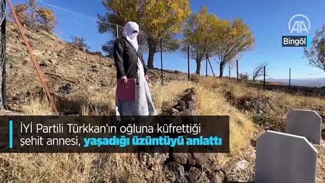 İYİ Partili Türkkan'ın oğluna küfrettiği şehit annesi, yaşadığı üzüntüyü anlattı