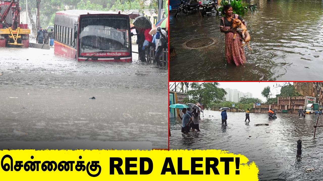 RED ALERT : விடிய விடிய பெய்த கனமழை, தண்ணீரில் மிதக்கும் CHENNAI