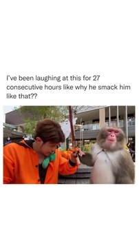 Why monkey smacks him I couldn't understand