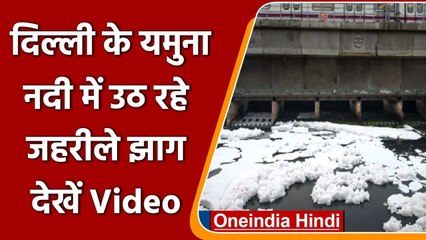 下载视频: Toxic Foam in Yamuna: Delhi Yamuna में फिर तैरता नजर आया सफेद झाग | #Short | वनइंडिया हिंदी