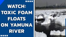 Delhi: Toxic foam floats on Yamuna River in Kalindi Kunj | Delhi AQ remains ‘severe’ | Oneindia News