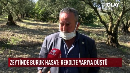 Bursa’da acı gerçek ortaya çıktı! Zararın boyutu 19 milyon lira