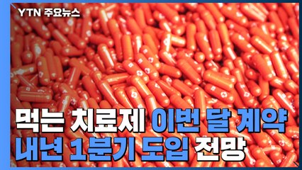 "먹는 코로나19 치료제 계약 이달 완료"...내년 1월 도입? / YTN