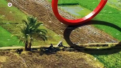 ...الأول من نوفمبر الحالي ، أقال البرهان ال...