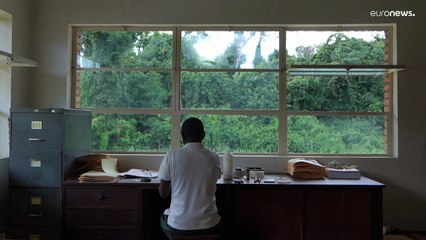 En République Démocratique du Congo, on sauve un herbier historique en le digitalisant