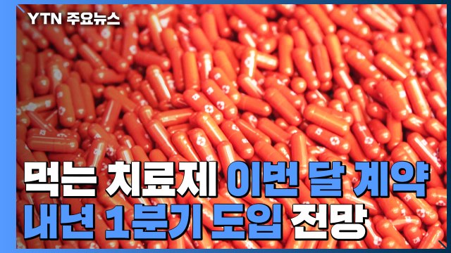 먹는 코로나19 치료제 계약 이달 완료 ...내년 1월 도입? / YTN