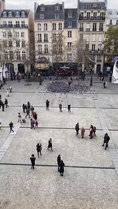 Un homme attire tous les pigeons de Paris à Chatelet