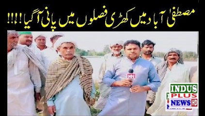 Mustafa Abad Mein Fasloin mein Pani aa gia | Indus Plus News Tv