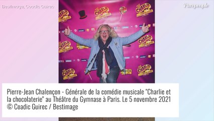 Malika Ménard, Liane Foly, Pierre-Jean Chalençon... les VIP savourent Charlie et la chocolaterie