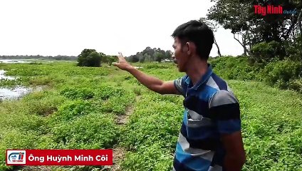 Người dân lo ngại việc khai thác cát gần bờ sông Sài Gòn gây sạt lở