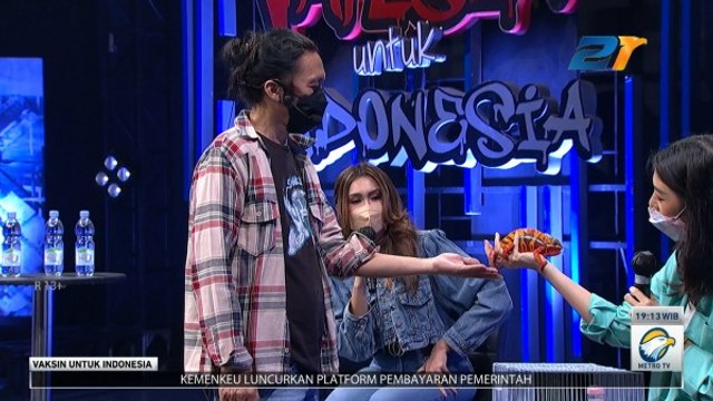 Vaksin Slank untuk Indonesia - Slank Berkenalan dengan Hewan Eksotis, Chameleon Asli Madagaskar