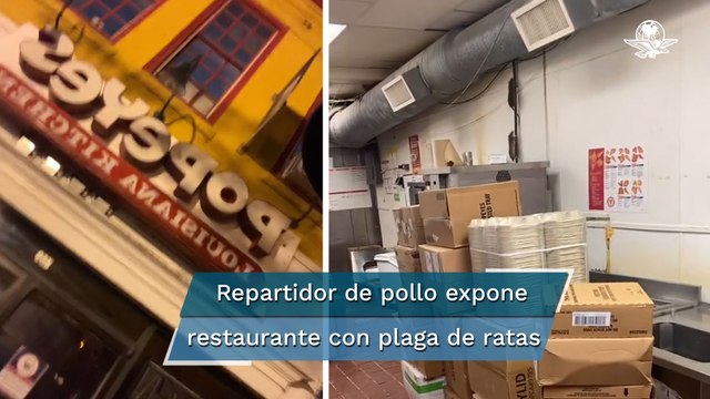 Tras exponer en TikTok plaga de ratas en un restaurante, autoridades sanitarias lo cierran