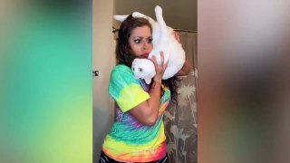 Top Funny & Crazy Cats Of 2021 Try Not To Laugh | MEOW CAT