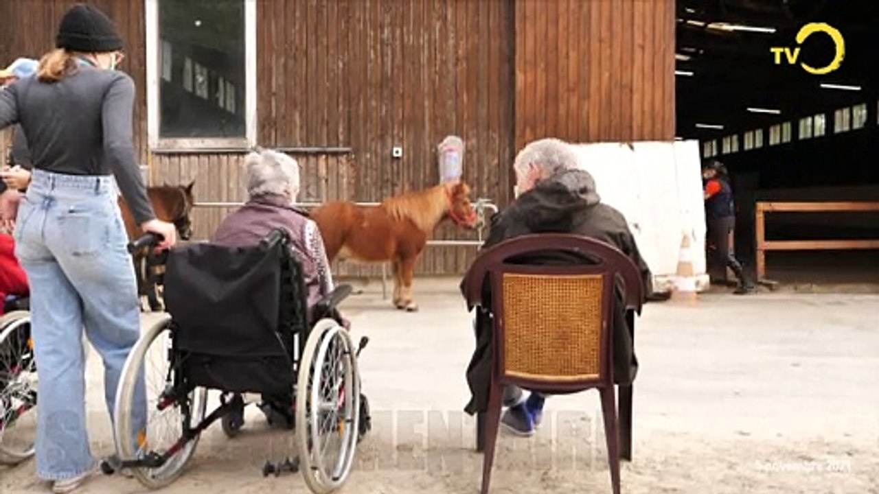 Sans commentaire: Butini au manège d'Onex