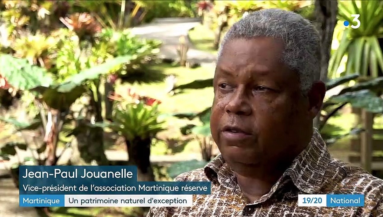 Martinique : un patrimoine naturel hors du commun caché dans l'Île aux fleurs