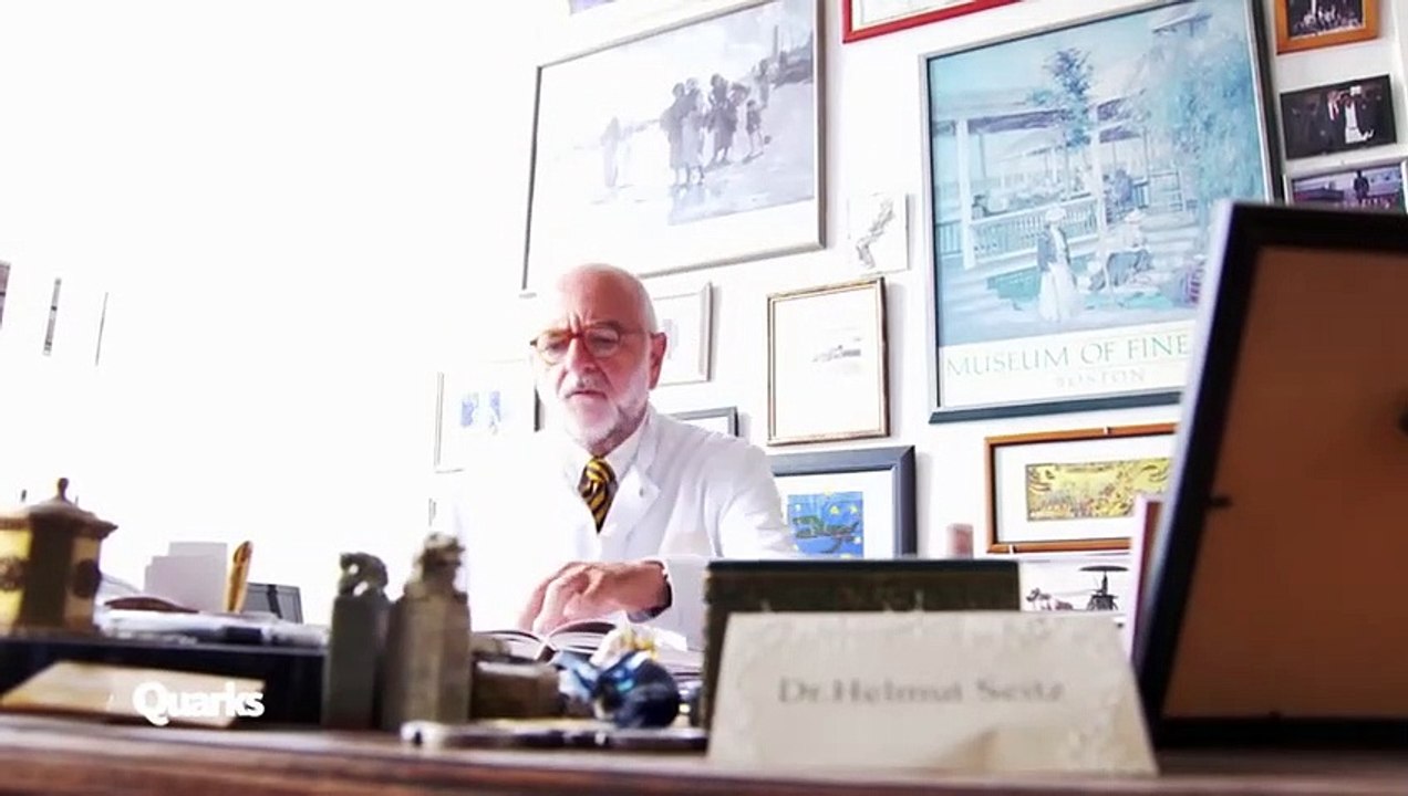 Wie gut kann sich der Körper vom Alkohol erholen?