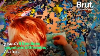L'effet des puzzles sur le cerveau