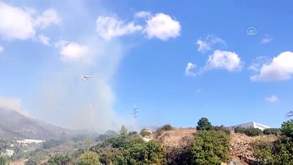 Mersin'de orman yangını