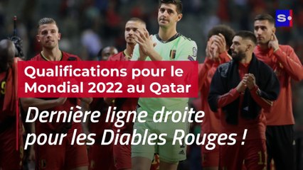 Qatar 2022 : dernière ligne droite pour les Diables !