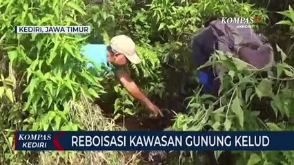 Cegah Bencana Alam, Warga Lakukan Reboisasi Di Kawasan Gunung Kelud