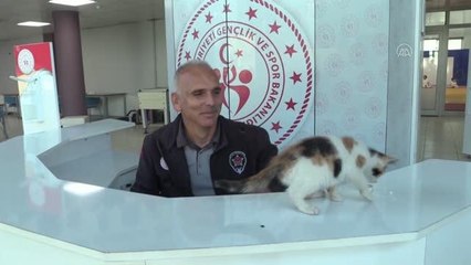 Sevimli kedi yavrusu "Karamel" genç judocuların maskotu oldu