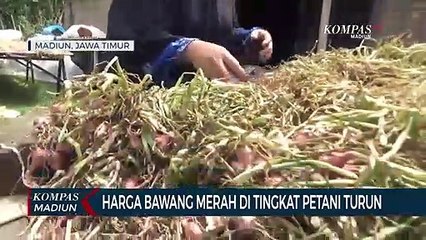Harga Bawang Merah Di Tingkat Petani Turun