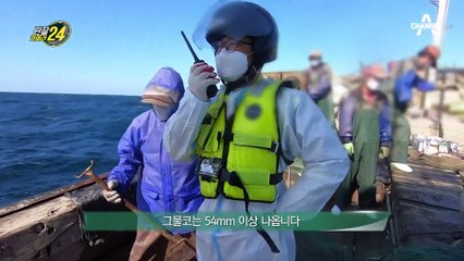 중국 불법 어선 게 섯거라 ᕦ(ò_óˇ)ᕤ ! 대한민국 해양 주권 보호하는 서해어업관리단