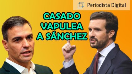 Vea cómo Casado vapulea a Sánchez: “Deje de ser la oveja negra de Europa”