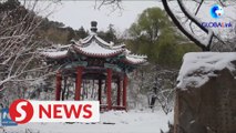 Snow-covered parks in Beijing offers picturesque scenery
