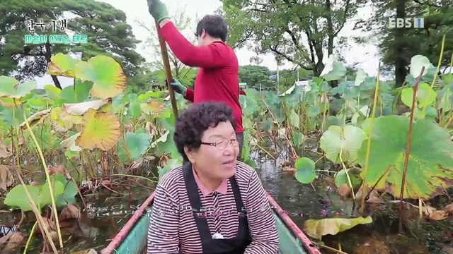한국기행 - Korea travel_마음이 이끄는 대로 1부- 낭만을 수확합니다_#002