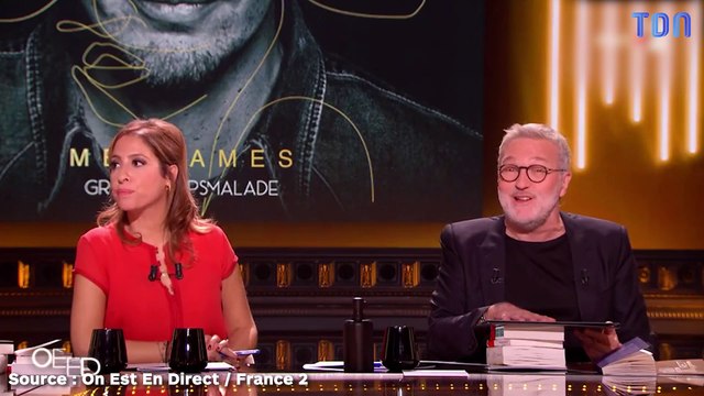 Grand Corps Malade et Laurent Ruquier se payent le chroniqueur Fabien Lecoeuvre, sans jamais le citer, après la polémique sur le physique de la chanteuse Hoshi