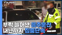 '일상회복' 뒤 부쩍 늘어난 음주운전...내년까지 집중단속 / YTN