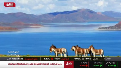 ...على الرغم من خطر التغير المناخي ، مازال ...