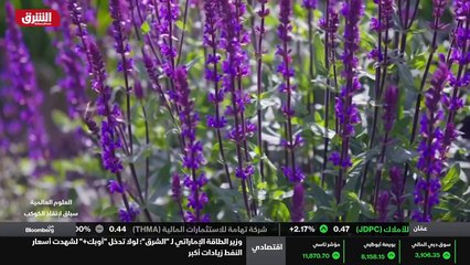 ...ونحو خمسين في المئة من الثدييات الأسترال...