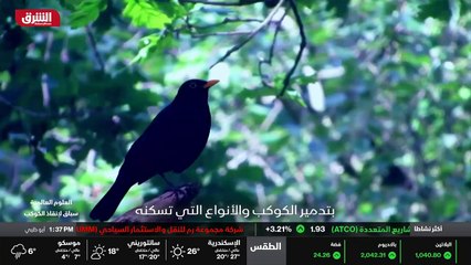 ...قد فهمنا النظام بشكل جيد ، لكن مازالت هن...