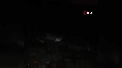 İzmit Körfezi'nde orkinos balığının ardından su samuru görüldü