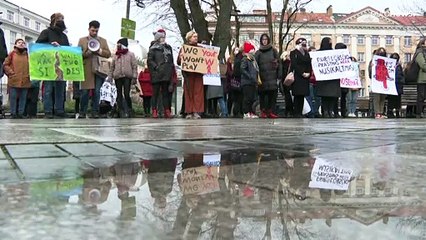 Anti-Pushback Proteste in Litauen