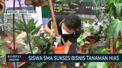 Download Video: Siswa SMA Raup Keuntungan Dari Budidaya Tanaman Hias