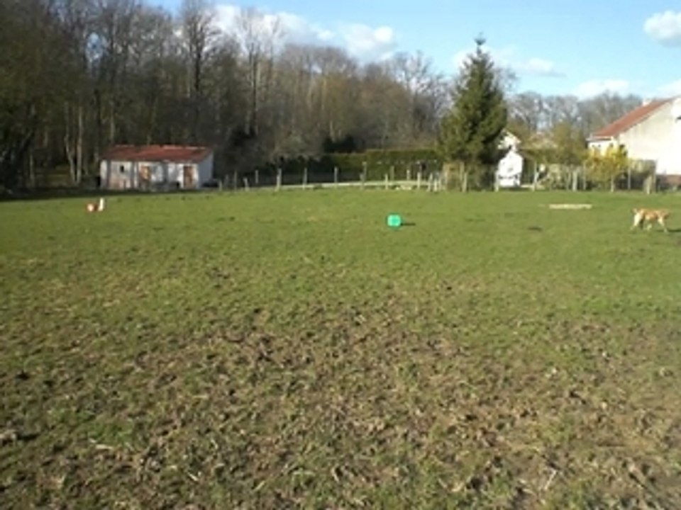 CIMG0788