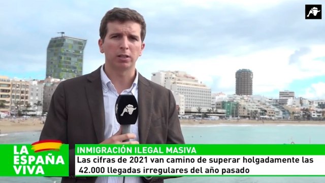 Nueva oleada de agresiones perpetradas por inmigrantes ilegales