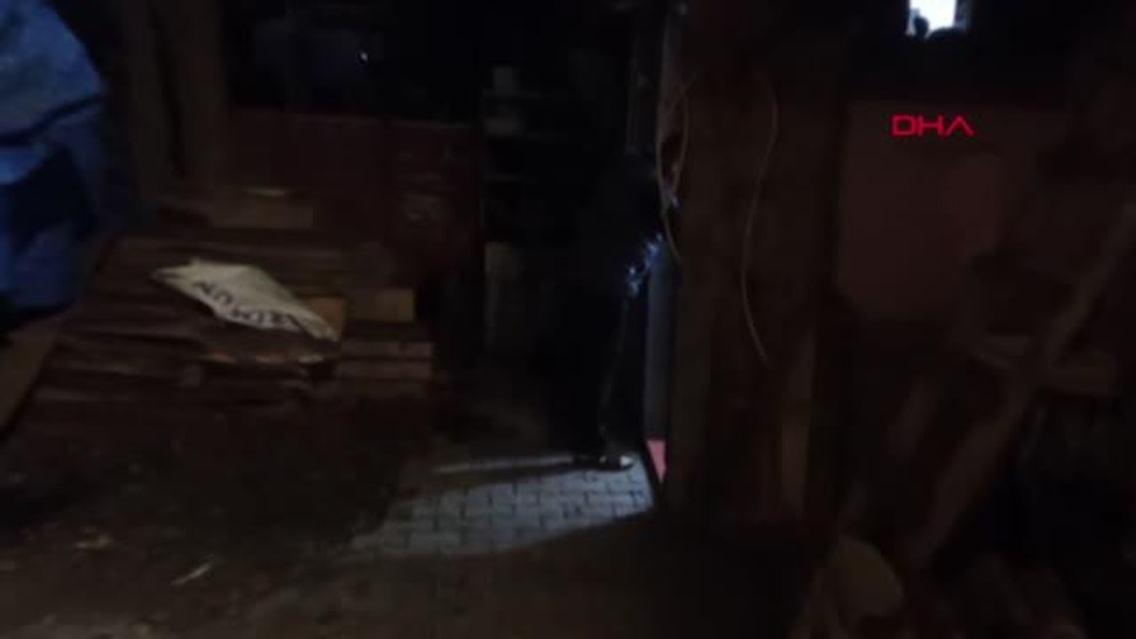 YARALI HALDE BULUNAN YAVRU TİLKİ, TEDAVİ ALTINA ALINDI