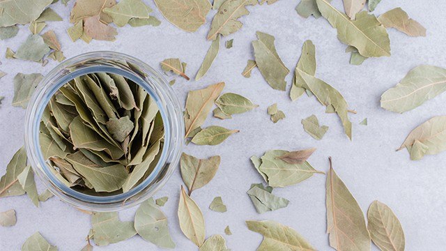 Bisa Bantu Penyembuhan Kanker, Ini 5 Manfaat Kesehatan dari Daun Salam