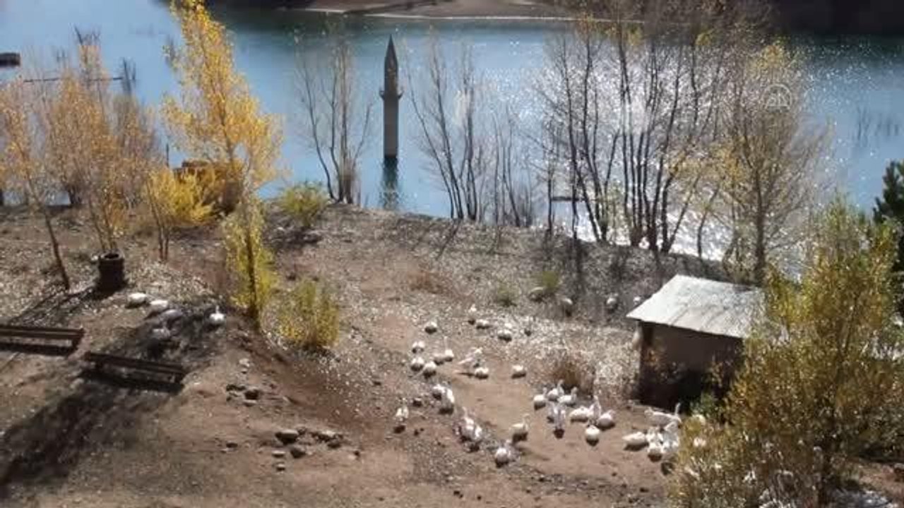 Baraj suyu çekilince cami minaresi ortaya çıktı