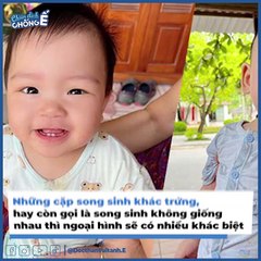 Những Cặp Sinh Đôi Không Hề Giống Nhau Của Showbiz Việt | Điện Ảnh Net