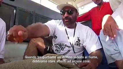 La corsa contro il tempo in ambulanza per salvare il delfino dell'Indo
