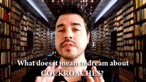 What does it mean to dream about Cockroaches? (dream meaning and dream interpretation)