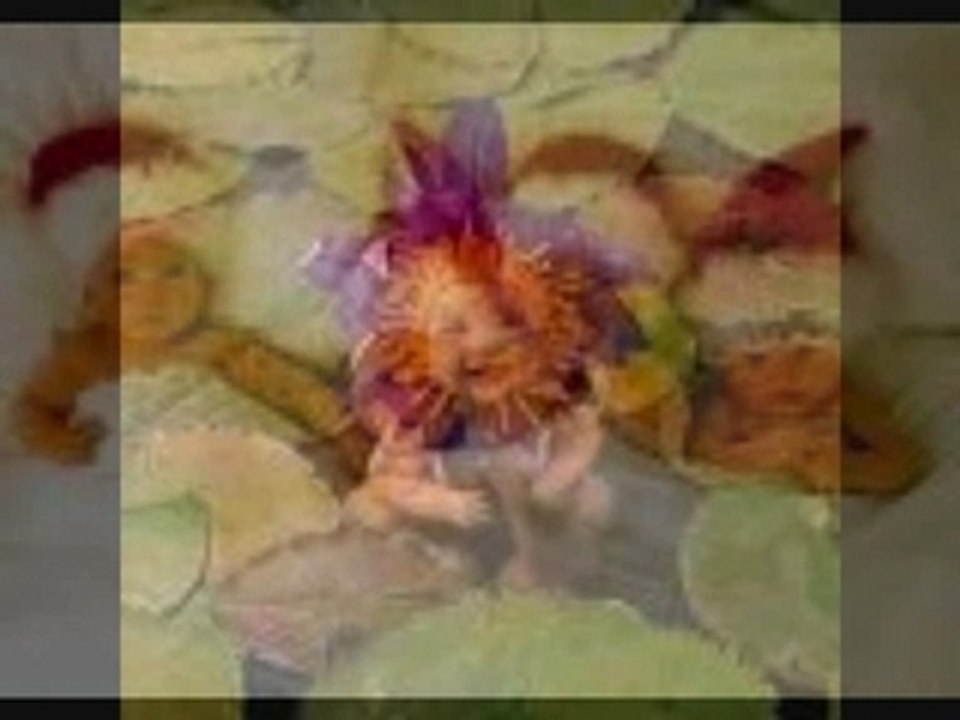 bebe